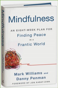 Mindfulness Book