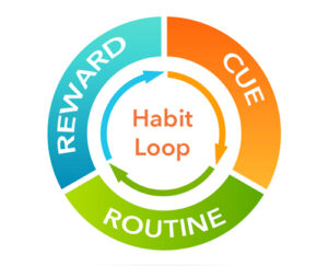 Diagram of a habit loop